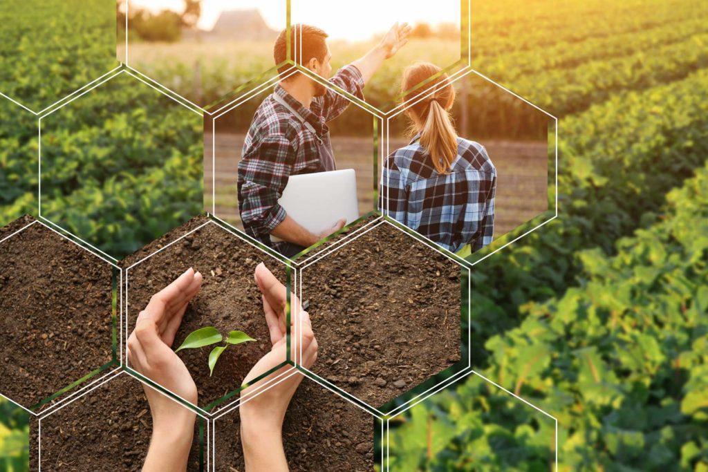 agricoles_logidays